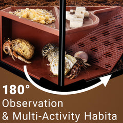 HERPDEN Hermit Crab Cave stairway guides crabs with a safe 40-degree slope.