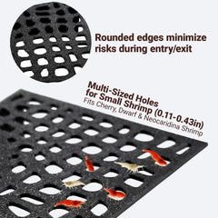 HERPDEN multi-sized holes support Cherry and Dwarf shrimp for natural movement.