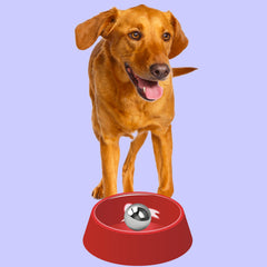 HERXU CO stainless steel ball profile highlights compact, smooth design.