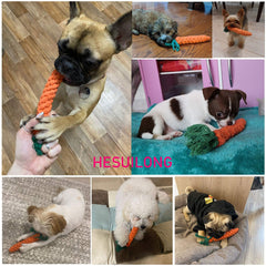 HESUILONG puppy teething toy pack three pieces for varied textures and interest.