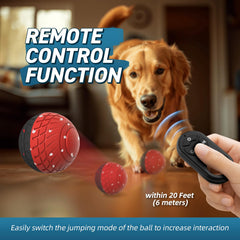 HETOO dog ball 3 modes intense for energetic exercise opportunities