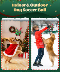 HETOO dog ball with pump adapter keeps inflation steady during play.