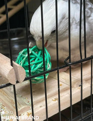 HEUHAI small-bird toys enable treat hiding to create stimulating treasure hunts.