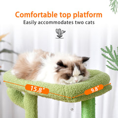 Heybly cat tree built-in condo offers private retreat and nap moments