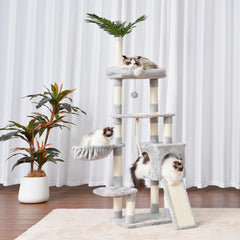 Heybly HCT015W padded perches provide cozy resting spots and elevated viewpoints.