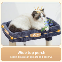 Heybly cat tree six scratching posts invite safe, satisfying claw care and play