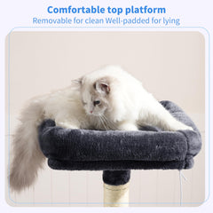 Heybly cat tree smoky gray base structure supports safe play and confident jumps