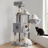 Heybly cat tree top perch view provides a high vantage for observing the room.