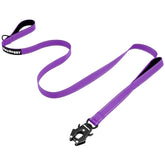 Heydoggy strong heavy-duty leash clip with space aluminum frog clip for secure quick release
