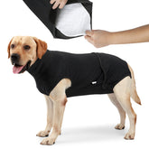 HEYWEAN full-body dog diaper-wear for secure fit during daily activities.