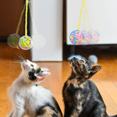 HFZRZFH bell inside cat ball creates inviting jingles during chase.