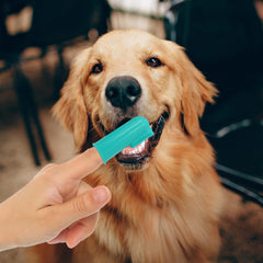 H&H Pets dog finger brush detail highlights curved bristles for hard-to-reach areas.