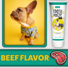 H&H Pets beef-flavored toothpaste close-up for an appealing brushing experience.