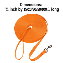 Hi Kiss orange 20ft durable nylon leash for backyard training and off-leash play.
