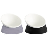 Hi Ravitat elevated-bowl tilt setup improves feeding comfort for cats.