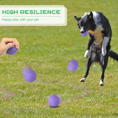Hiboom floating dog balls support pool or beach fetch