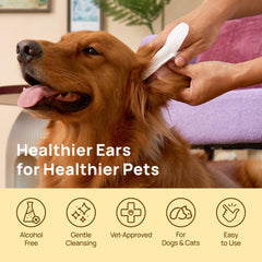 HICC PET Ear Cleaner Wipes extended 5-inch finger wipes for easier handling