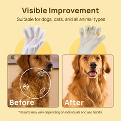 Guante de cuidado facial y patas de HICC PET para uso cómodo.
