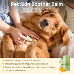 HICC PET Skin Balm ingredients-calendula-coconut close-up highlights soothing botanicals for irritated skin.