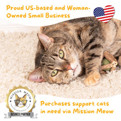 Hide & Scratch 3-pack display highlights gift-ready packaging and enrichment value for feline friends.