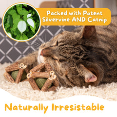 Hide & Scratch silvervine catnip balls in action, showcasing movement and mental enrichment through daily play.