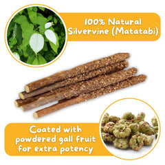 Hide & Scratch silvervine stick close-up shows rugged bark texture for satisfying chews.