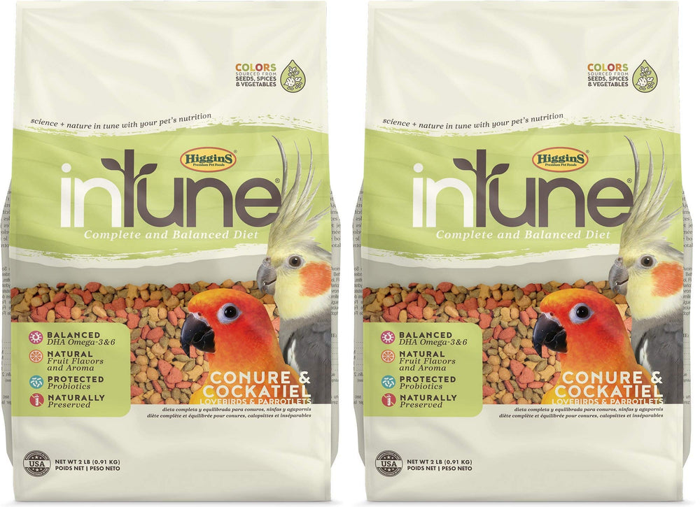 Higgins Intune 2-pack bags opened, showcasing balanced nutrition for conures and cockatiels.