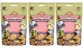 Higgins Worldly Cuisines Spice Market Bird Treat 3 Pack – attractive front view for enticing feeding.