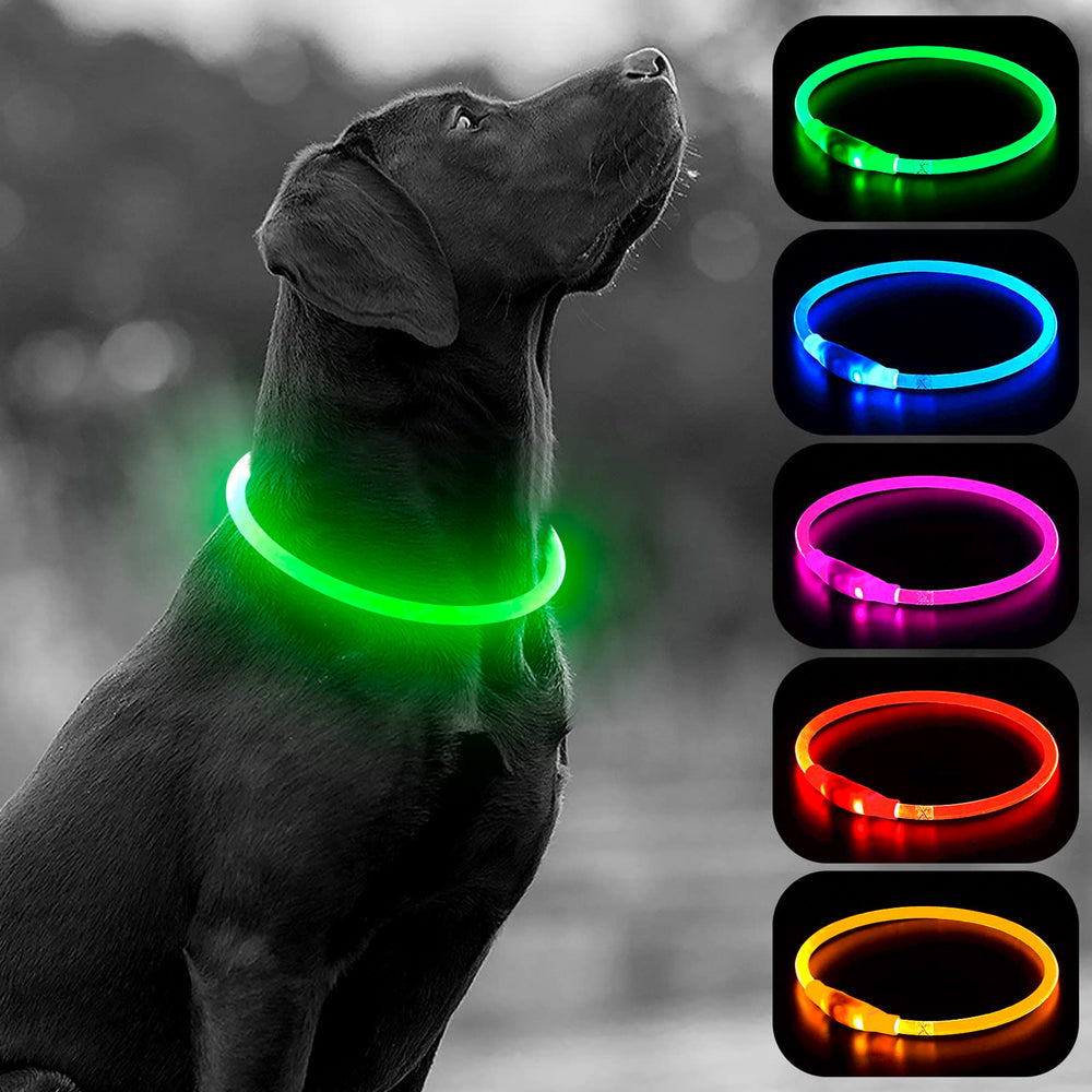 Higo light-up dog collar providing 360-degree glow for night safety.