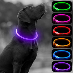 Higo Light Up Dog Collar provides a 360° glow for safer night walks.
