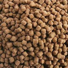 Hikari glossy coat closeup suggests healthy shine from pellets.