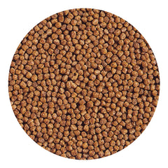 Hikari Gold baby pellet jar with label—bulk packaging for regular meals