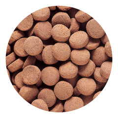 Hikari Massivore Delite feeding in dish demonstrates easy portioning and reduced waste.