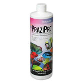 Hikari Prazipro 16oz bottle pour shows easy dosing for aquarium parasite management