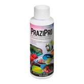 Hikari PRAZIPRO bottle for quick fluke management in aquariums.