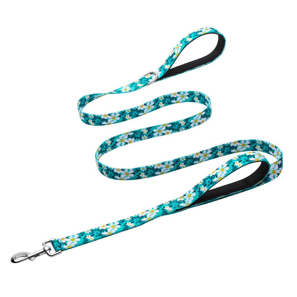 Hikiko double-handle dog leash with dual padded grips for comfortable walks.