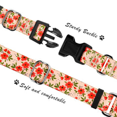 Hikiko floral dog collar martingale design provides gentle control for everyday use.