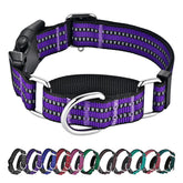 Hikiko Martingale Collar for dogs in purple prevents escapes with a comfortable fit during daily walks.