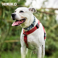 Hikiko martingale collar with metal accessories for durable daily use