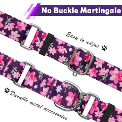 Hikiko no-buckle martingale collar demonstrates escape-prevention during playful outdoor sessions.