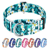 Hikiko martingale collar no-buckle green daisy strap for secure fit during play