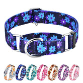 Hikiko martingale collar no buckle close-up for secure active wear
