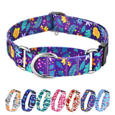 Hikiko martingale no-buckle collar closeup emphasizes secure fit for active dogs