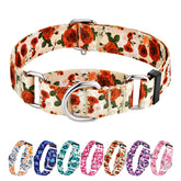 Hikiko no-buckle martingale collar for dogs with secure fit during active play.