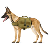 Himal Outdoors dog backpack side pockets provide easy-access water and treats on hikes.