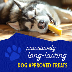 Himalayan Dog Chew long-lasting chew action with dog chewing steadily