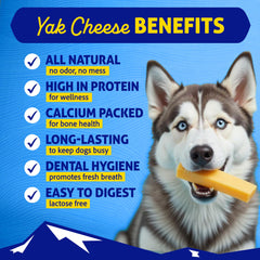 Close‑up texture of Himalayan Dog Chew yak cheese stick highlighting dense cheese