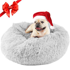 Himax donut dog bed small with blanket attached provides private cozy retreat.