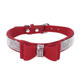 HimyBB dog collar with bowties front view for sparkling daily wear