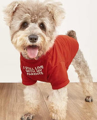 HipGirl dog shirt in medium back view showing easy on/off design.